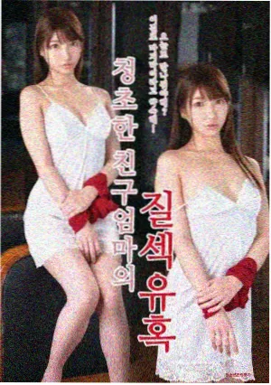 免费观看电视剧《山茶花未眠》